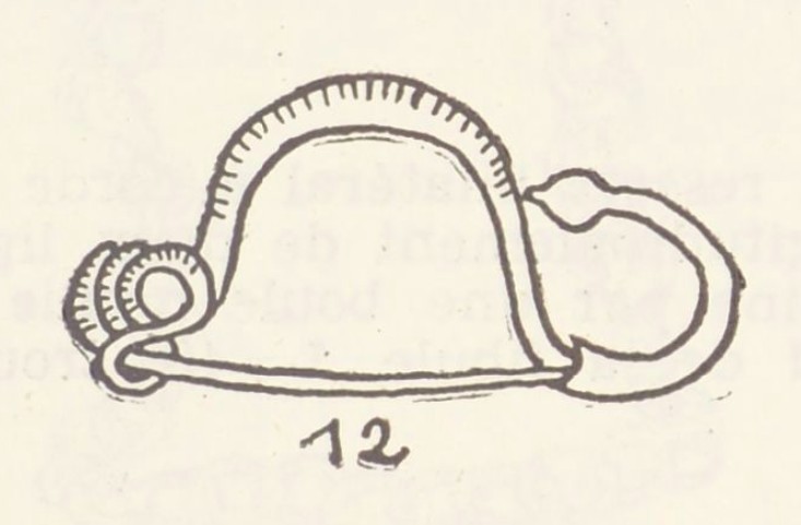 dessin d'une fibule en bronze découverte à Courtisols