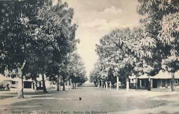 Avenue des Manguiers à Yumbi (Congo Belge) sur une carte postale ancienne